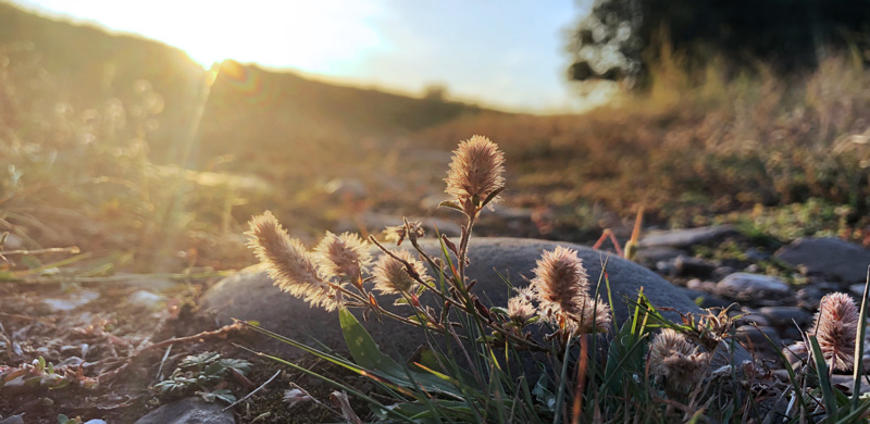 Die Natur schenkt uns Raum zum Öffnen